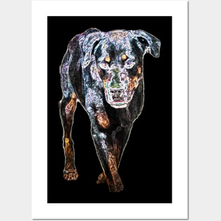 rottweiler Posters and Art